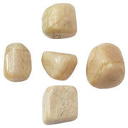 Moonstone Tumbled Stone - Love Rocks